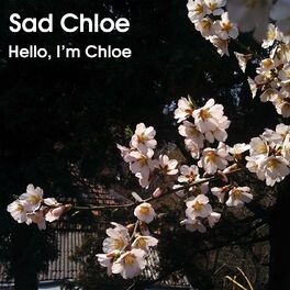 Album cover of Hello, I'm Chloe