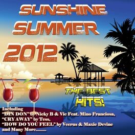 Album cover of Sunshine Summer 2012 (The Best Hits)