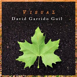 Album cover of Visual