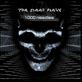Album cover of 1000 Needles
