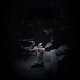 Album cover of Crash Dummies (feat. MBK)