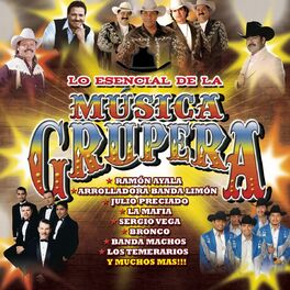 Album cover of Lo Esencial De La Música Grupera
