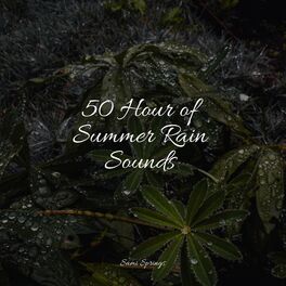 Album cover of 50 Hour of Summer Rain Sounds