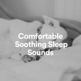 Album cover of Comfortable Soothing Sleep Sounds