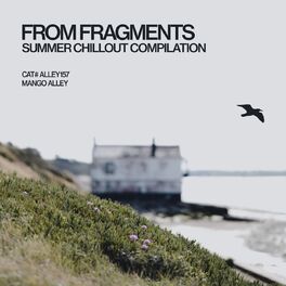 Album cover of From Fragments