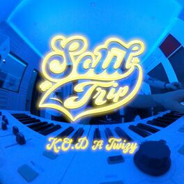 Album cover of SOULTRIP (feat. Twizy)