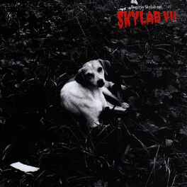 Album cover of Skylab VII