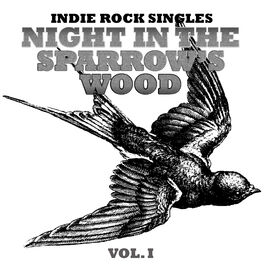 Album cover of Night in The Sparrow’s, Vol. 1