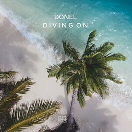 Album cover of Diving On