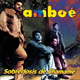 Album cover of Sobredosis De Chamame