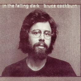 Album cover of In The Falling Dark