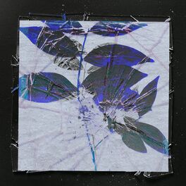 Album cover of Star For You