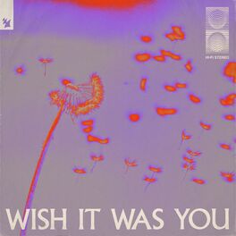 Album cover of Wish It Was You