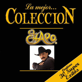 Album cover of La Mejor Colección (Componente 2)