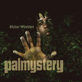 Album cover of Palmystery