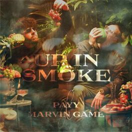 Album cover of Up in Smoke