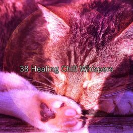 Album cover of 38 Healing Chill Whispers