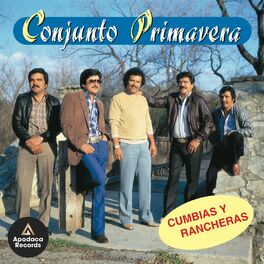Album cover of Cumbias y Rancheras