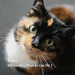 Album cover of Rain: Soft Sounding Music for Cats Vol. 1