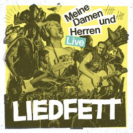 Album cover of Meine Damen und Herren (Live)