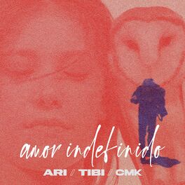 Album cover of Amor Indefinido