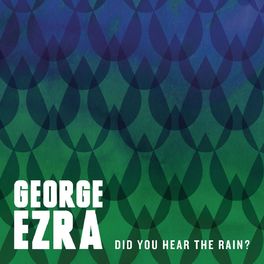 Album cover of Did You Hear the Rain?