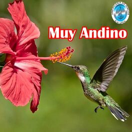 Album cover of Muy Andino