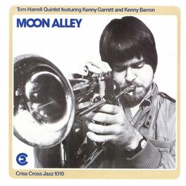 Album cover of Moon Alley
