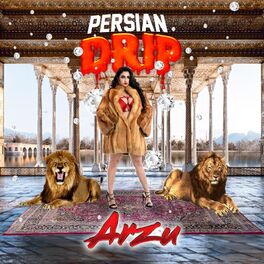 Album cover of Persian Drip (Radio Edit)