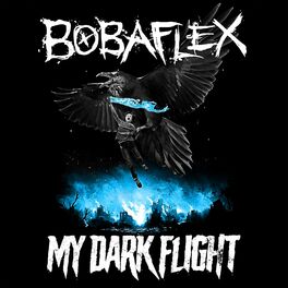 Album cover of My Dark Flight