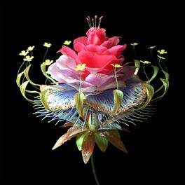 Album cover of Super Natural (feat. Carly Rae Jepsen)