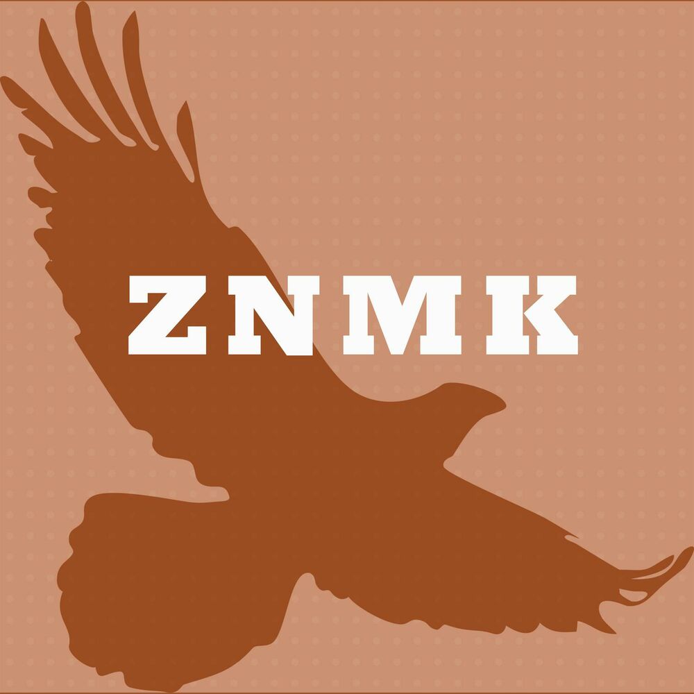 Follow peace original mix. American weekend. ZNMK.