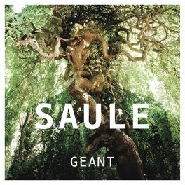 Album cover of Géant