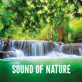 Album cover of Sound of Nature