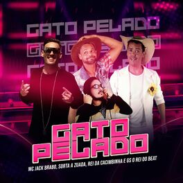 Album cover of Gato Pelado
