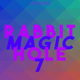 Album cover of Rabbit Magic Hole 7