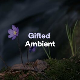 Album cover of Gifted Ambient