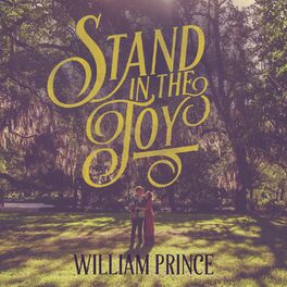 Album cover of Stand in the Joy