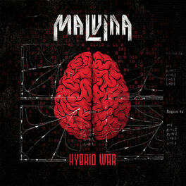 Album cover of Hybrid War