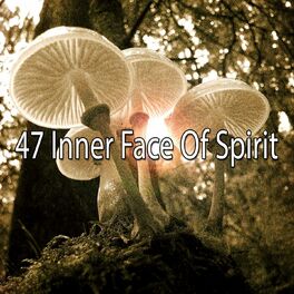 Album cover of 47 Inner Face of Spirit
