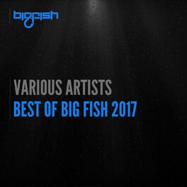 Album cover of Best of Big Fish 2017