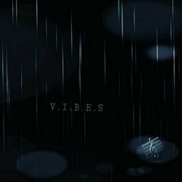 Album cover of V.I.B.E.S (Instrumental Version)