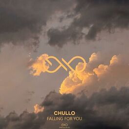 Album cover of Falling For You