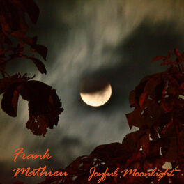 Album cover of Joyful Moonlight