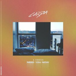 Album cover of Need You Now (Remixes)