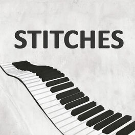 Album cover of Stitches (Piano Version)