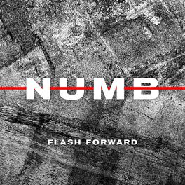 Album cover of Numb