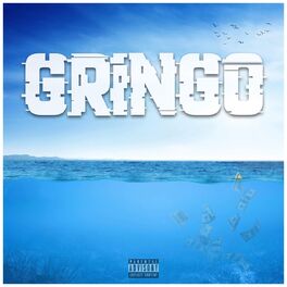 Album cover of Gringo