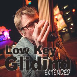 Album cover of Low Key Gliding