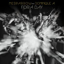 Album cover of For A Day (Avec Dominique A)